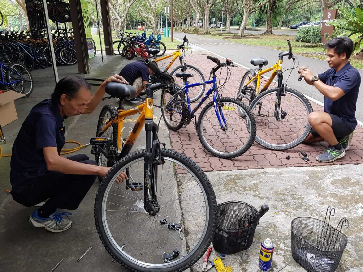 west coast park bike rental